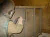 101-0119_IMG.JPG (95939 Byte)